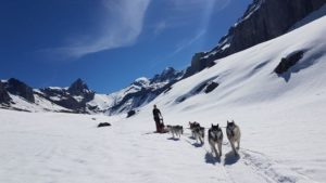 Husky-Touren im Muotatal