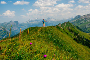 Wanderhöhepunkt Gratwanderweg