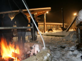 Huskytour Muotatal