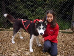 Kinderausflug zu Huskies