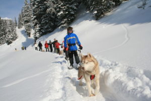 Huskytrekking Muotatal