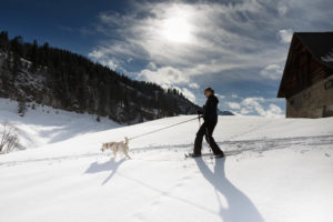 Schneeschuhtour mit Huskyies