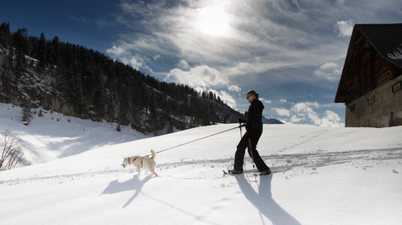 Schneeschuhtour mit Huskyies