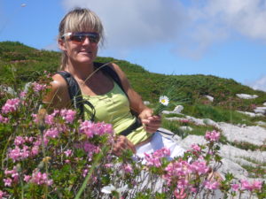 Alpenblumen im Muotatal