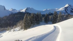 Langlaufloipe Chruteren