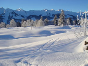 langlaufloipe-oberberg