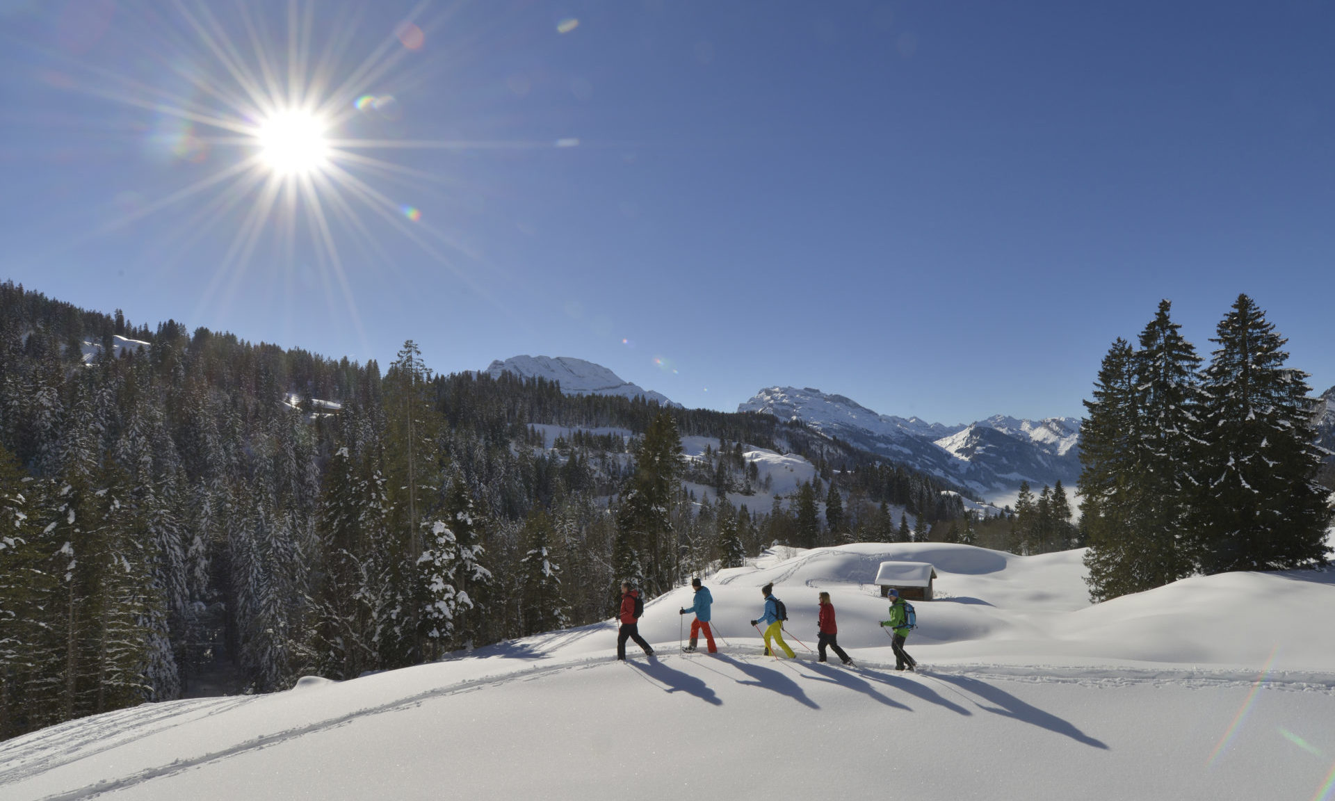 Schneeschuhlaufen Muotathal